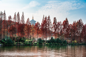 Sticker - Hangzhou in Autumn, China