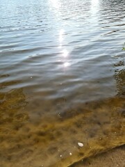 The calm surface of a lake with sun reflections and glittering stars.