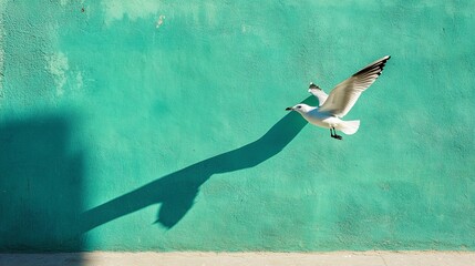 Canvas Print - Minimalist composition of a seagull in flight casting a shadow on a vibrant turquoise wall above a sandy beach 