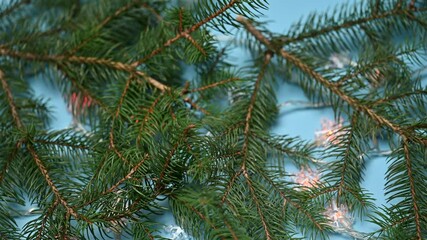 Canvas Print - Christmas decoration with fir branches