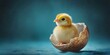 © Irina Ukrainets - A cute yellow chick hatches from its eggshell. The warmth of new life is captured in soft lighting. This image radiates innocence and a fresh beginning. Perfect for nature themes. AI
