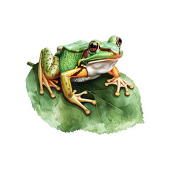 Wall Mural - frog on leaf vector illustration in watercolor style