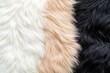 © รันนี่ เจอนั่น Mm - Soft and fluffy fur texture in white, beige, and black, ideal for cozy backgrounds or stylish interior decor.
