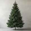 © Lauren - Plain Pine Tree No Ornaments Blank Mockup Christmas Holiday Not Decorated Isolated Background