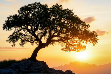 Canvas Print - Big Oak Tree At Sunset