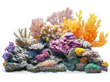 Vibrant coral reef teeming with colorful marine life, showcasing diverse coral species and textures in a breathtaking underwater scene.