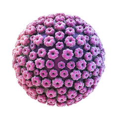 3D rendering of a virus structure with distinct surface protein spikes in a spherical shape displayed against a transparent background