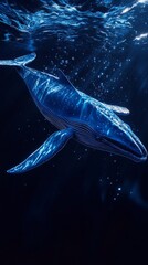 Humpback whale swimming underwater with sunlight reflections, ocean wildlife concept