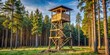 © Collection - Wooden hunting tower standing tall in the wild forest of Europe, providing a high vantage point for hunters to observe their surroundings