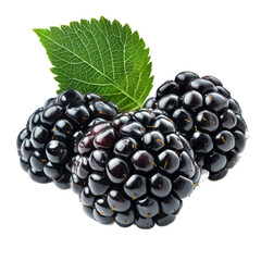 Blackberry piece isolated on transparency background