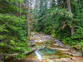 Drone Above Denny Creek  2