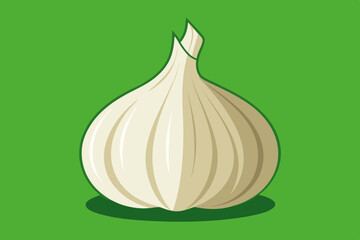 Sticker - Vector illustration of fresh garlic