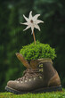 © Chamois huntress - beautiful autumn decoration in the garden with green plant and a wind mill in  walking boots