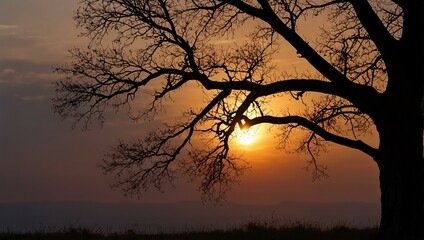 Wall Mural - Tree at sunset.