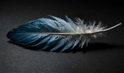 feather with new look