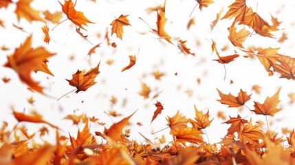 A bunch of leaves flying in the air during autumn season