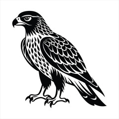 Wall Mural - Hawk silhouette vector