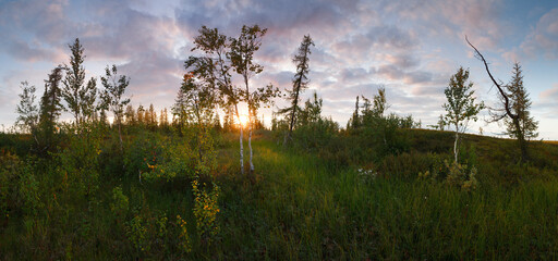 A beautiful landscape with a large field of trees and a bright sun setting in the background. The sky is cloudy, giving the scene a peaceful and serene atmosphere