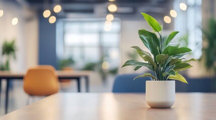 Wall Mural - Blurred background of a modern office interior design featuring a contemporary workspace with chairs tables and interior plants for creative business settings