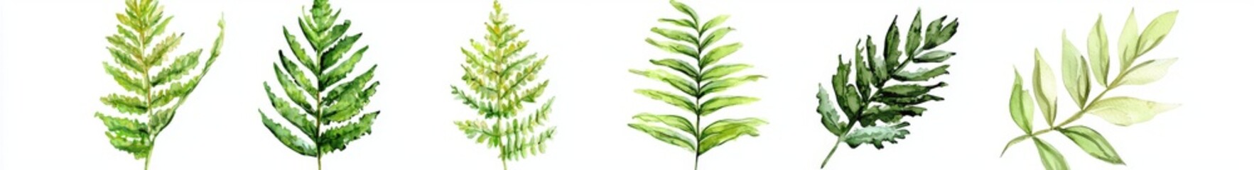 Sticker - A sketch of fern leaves for invitations and greeting cards. Colorful hand drawn forest plants for decorations.