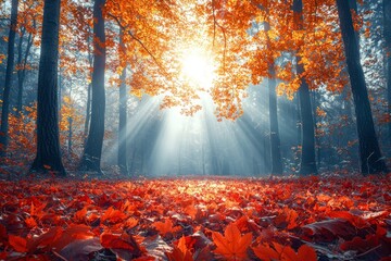 Wall Mural - Sunbeams Illuminating a Forest Floor Covered in Fallen Autumn Leaves