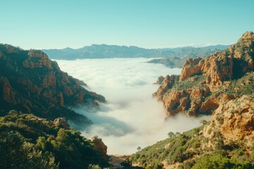 Wall Mural - Mountainous Landscape with Fog-Filled Valley