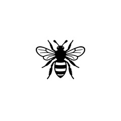 Wall Mural - black and white silhouette of a bee with detailed wings and striped body.