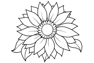 Sunflower, Sunflower outline. Vector illustration.