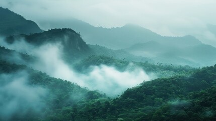 A close-up of misty mountain terrain with diffused light and gentle fog