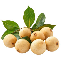 Longan fruit with leaves  isolated on transparent background