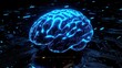 © vanzerim - Digital Brain on a Circuit Board