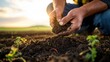 © busro - Nutrient-Rich No-Till Soil Farming: Farmer Examining Lush Organic Layers with Earthworms and Microorganisms