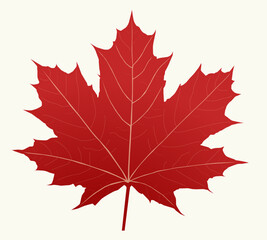 Wall Mural - colorful autumn maple leaf vector