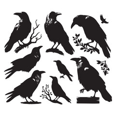 Wall Mural - Set of crow silhouette vector on a white background