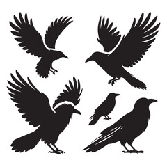 Wall Mural - Set of crow silhouette vector on a white background