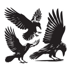 Wall Mural - Set of crow silhouette vector on a white background