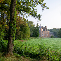 Wall Mural - castle slangenburg in doetinchem and surrounding green landscape