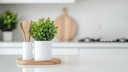 A white pot with a plant in it sits on a wooden tray