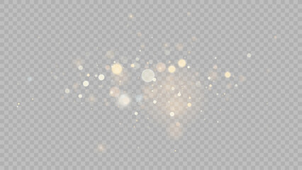 Poster - The dust sparks and golden stars shine with special light. Vector sparkles on a transparent background. . Stock royalty free vector illustration. PNG	