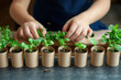 © Nacci - Close-up of Planting Seedlings in Paper Pots