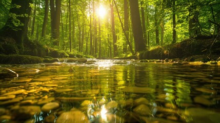 Canvas Print - An image of a clear stream in a forest, symbolizing the natural source of clean drinking water and its environmental importance.