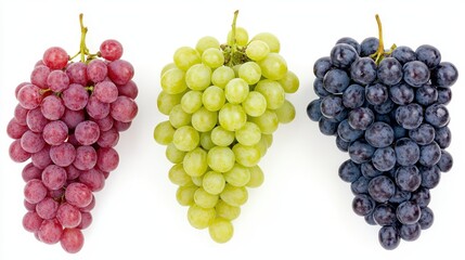 Red Green and Black Grapes Isolated on White Background