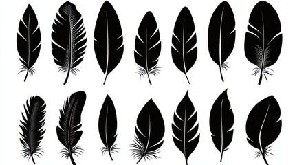 Poster - Black and White Feather Silhouettes Collection