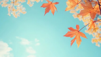 Wall Mural - A close up of a tree with leaves on it and the sky in background, AI