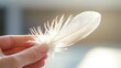 © BOJOShop - Woman Holding a White Feather in Hand   Close Up  Soft Light  Natural Texture