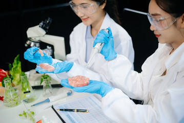 two asian scientists in a lab conducting food research using a microscope and lab equipment, showcas