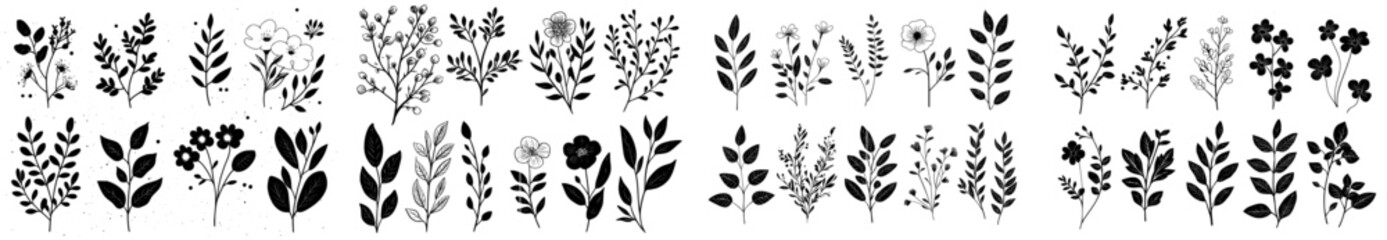 Drawings and line doodles of modern floral elements.