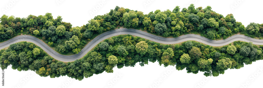 Aerial View of a Curvy Road Winding Through Dense Green Forest ...