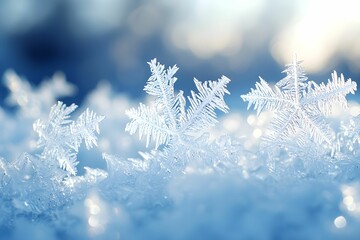 Wall Mural - Snowflakes gently resting on a glistening winter landscape