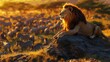 © your inspiration  - A majestic lion resting on a rock in the Serengeti, golden sunlight casting a warm glow on its mane, with distant herds of zebras and wildebeests grazing on the savannah